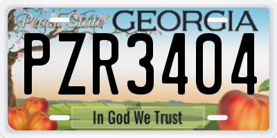 GA license plate PZR3404
