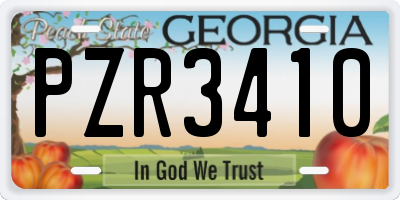 GA license plate PZR3410