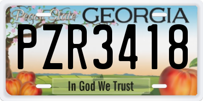 GA license plate PZR3418