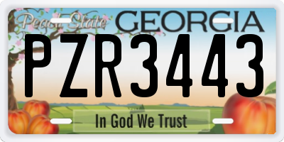 GA license plate PZR3443