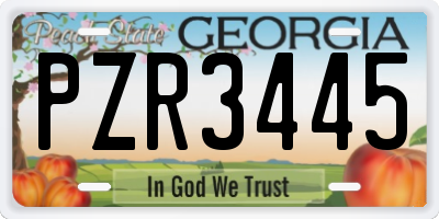 GA license plate PZR3445