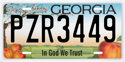 GA license plate PZR3449