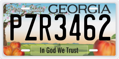 GA license plate PZR3462
