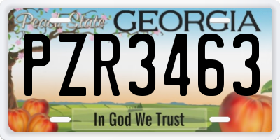 GA license plate PZR3463
