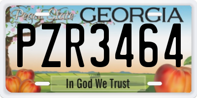 GA license plate PZR3464