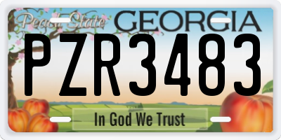 GA license plate PZR3483