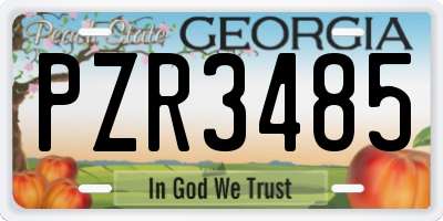 GA license plate PZR3485