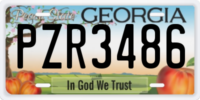 GA license plate PZR3486