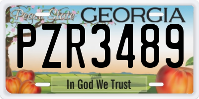 GA license plate PZR3489