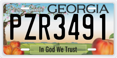 GA license plate PZR3491