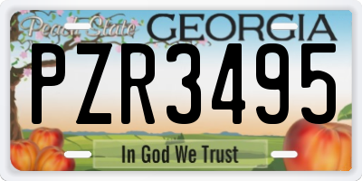 GA license plate PZR3495
