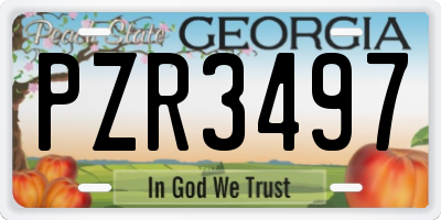 GA license plate PZR3497
