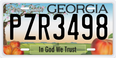 GA license plate PZR3498