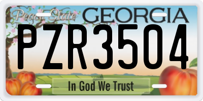 GA license plate PZR3504