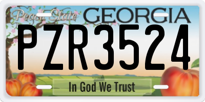 GA license plate PZR3524