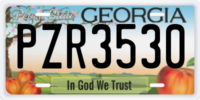 GA license plate PZR3530