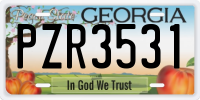 GA license plate PZR3531