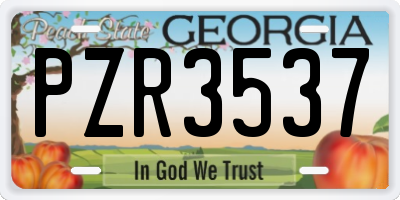 GA license plate PZR3537