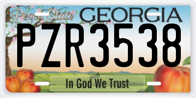 GA license plate PZR3538