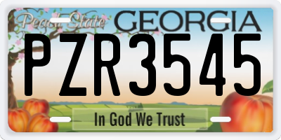 GA license plate PZR3545