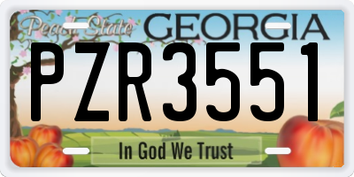 GA license plate PZR3551