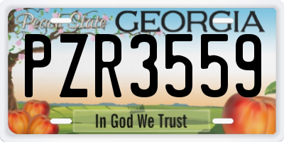 GA license plate PZR3559