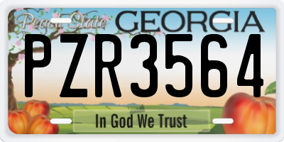 GA license plate PZR3564