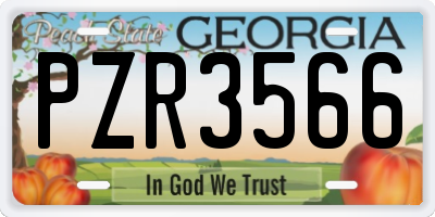 GA license plate PZR3566