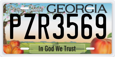 GA license plate PZR3569