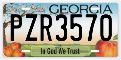 GA license plate PZR3570