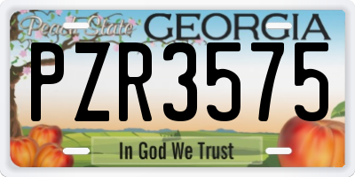 GA license plate PZR3575