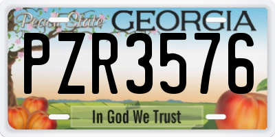 GA license plate PZR3576