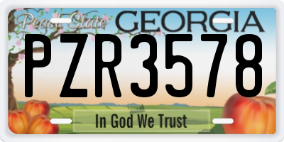 GA license plate PZR3578