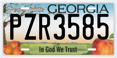 GA license plate PZR3585