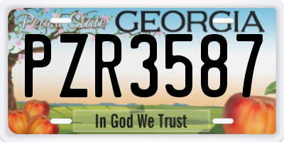 GA license plate PZR3587