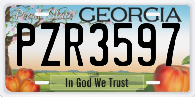 GA license plate PZR3597