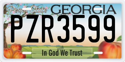 GA license plate PZR3599
