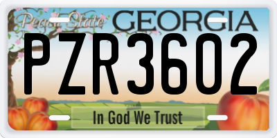 GA license plate PZR3602