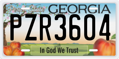 GA license plate PZR3604