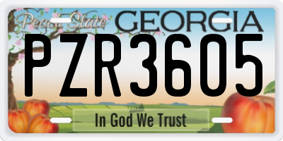 GA license plate PZR3605
