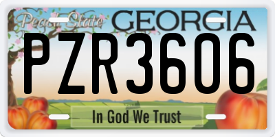 GA license plate PZR3606