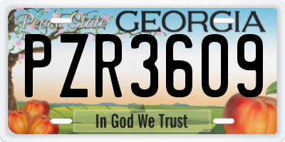 GA license plate PZR3609