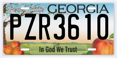 GA license plate PZR3610