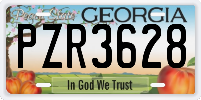 GA license plate PZR3628