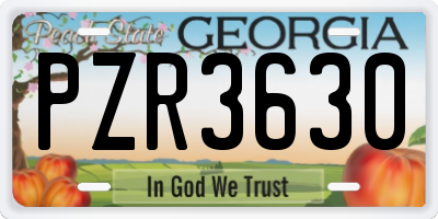 GA license plate PZR3630