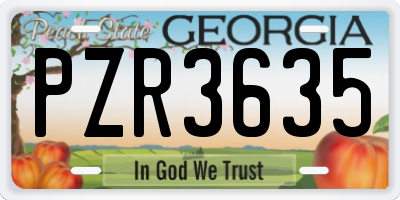GA license plate PZR3635
