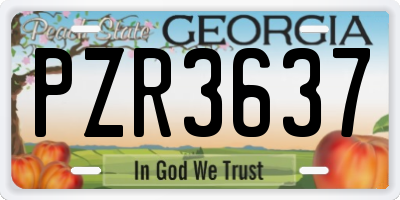 GA license plate PZR3637