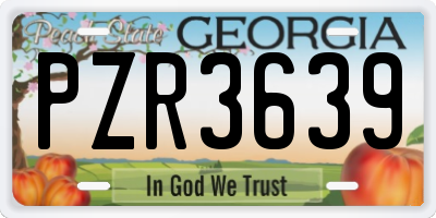 GA license plate PZR3639