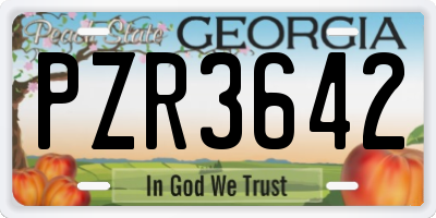 GA license plate PZR3642