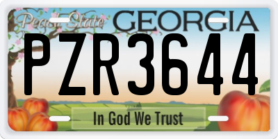 GA license plate PZR3644